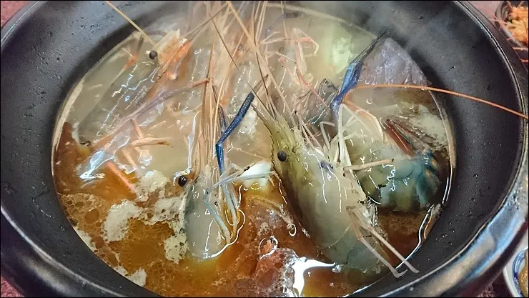 《捷運板南線/板橋車站美食》鴨味仔薑母鴨食補~中和環球附近新開店，活蝦薑母鴨湯頭愈煮愈鮮，當店限定必點香酥尾椎超威！