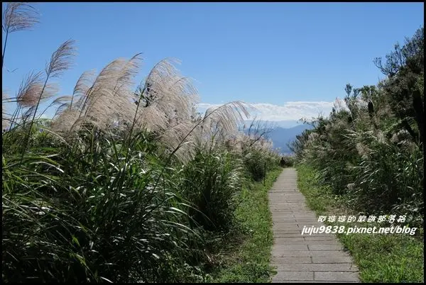 新北。峰芒畢露漫步五分山登山步道