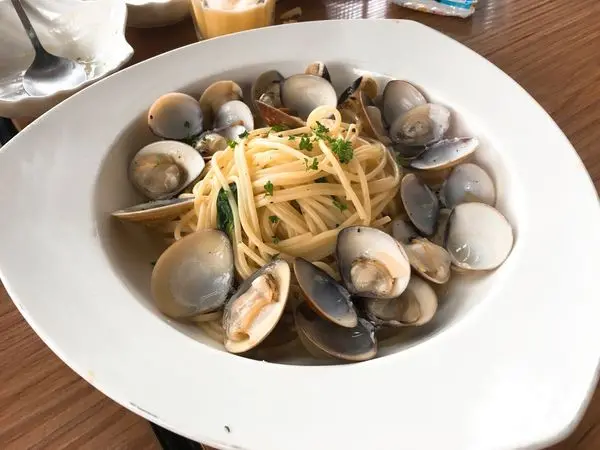 竹北白地街 香草微風 義式料理 pizza與義大利麵好吃 聚餐的好選擇