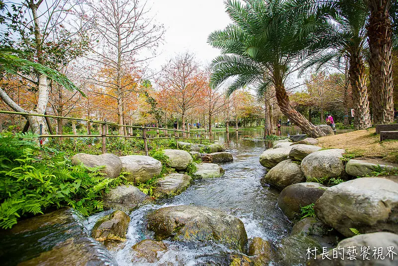 【遊記】｛花蓮。壽豐鄉｝落羽松祕境~鈺展苗圃