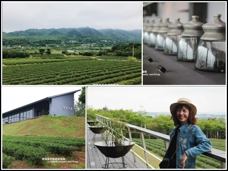 苗栗。台灣農林銅鑼觀光茶廠。露台瞰景追火車｜賞茶園風光還有小葉欖仁樹步道