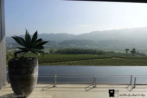 【苗栗。銅鑼】 聞茶香賞山景。無邊際水池。台灣農林銅鑼茶廠。銅鑼杭菊順遊景點