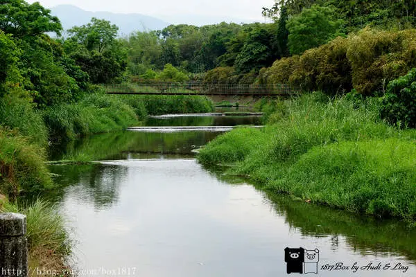 【南投。竹山】下坪小吊橋。下坪自行車道