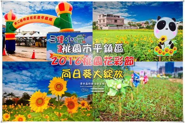2016桃園花彩節|桃園市平鎮區花場；向日葵迷宮登場，還有很多好吃好玩的等你來發掘。