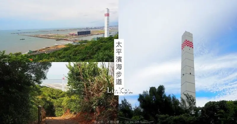 走在海風輕吻的林蔭裡︱林口太平濱海步道