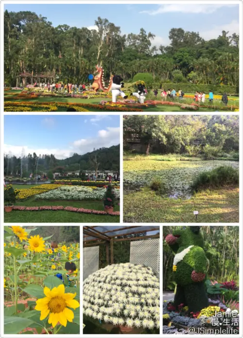 【台北慢旅】花朵草木，另一種豐富視野的調劑，襯托出原始之美−士林官邸−