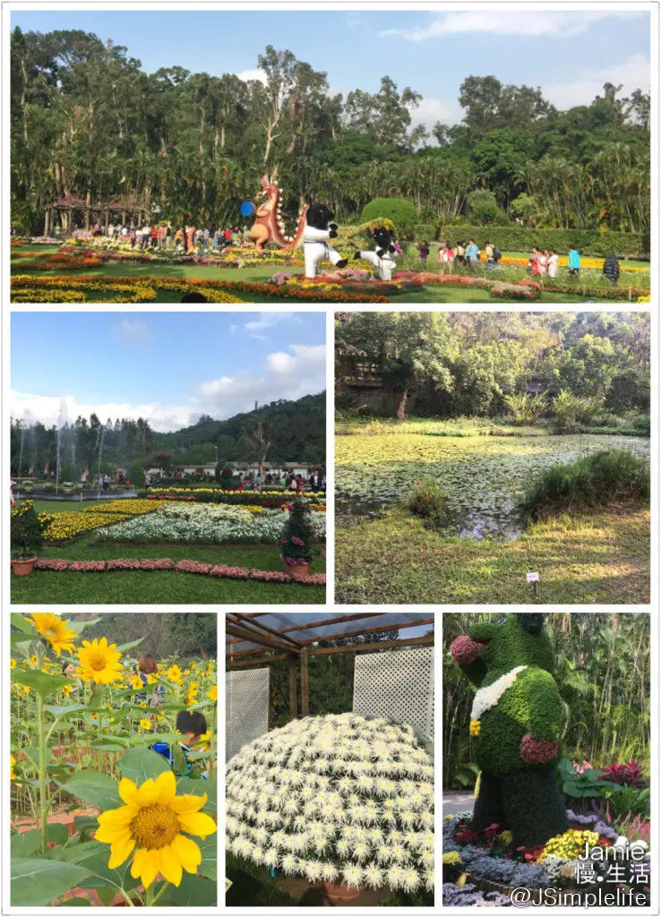 【台北慢旅】花朵草木，另一種豐富視野的調劑，襯托出原始之美−士林官邸−