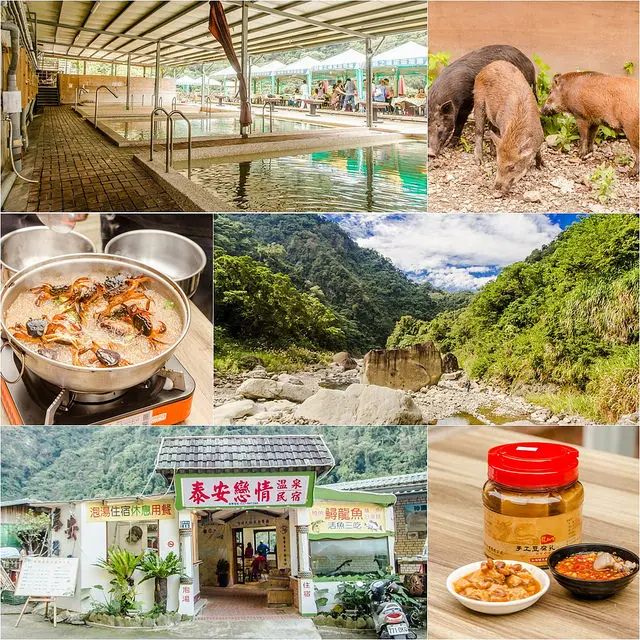 【苗栗-泰安旅遊】動物奇石林立的世外桃源-神畫峽谷.泰安戀情溫泉民宿.酋長宴.鱘龍魚大餐