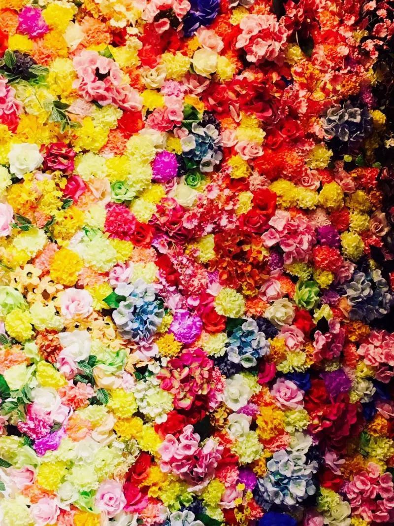 [台中西區] 台中IG熱門打卡  花匠The Florist   美美的花牆 新鮮現打 