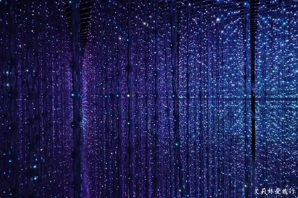 展覽》teamLab: 舞動！藝術展 & 學習！未來の遊園地 華山文創園區