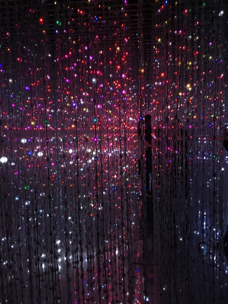 【台北華山】TeamLab: 舞動！藝術展 & 學習！未來の遊園地~有藝術有互動的展覽