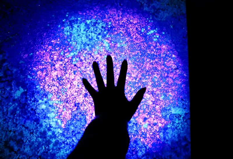 【台北信義區 | 展覽】登陸神秘又驚奇的的潘朵拉星球❍阿凡達-探索潘朵拉世界特展