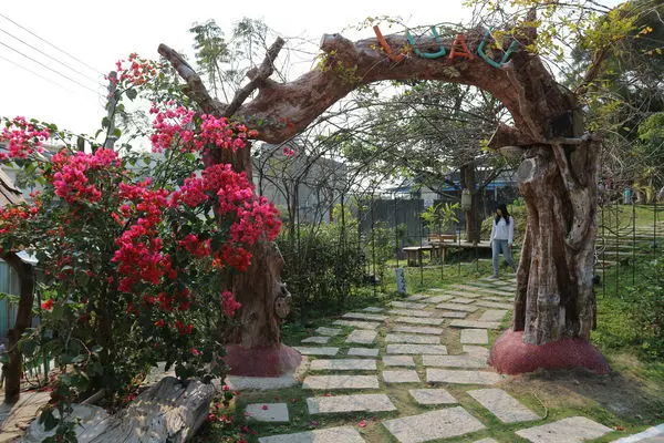 。新竹食記。Luau ・ Pizza 柴寮披薩。新竹的小夏威夷