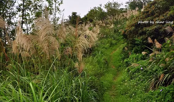 【鶯歌 / 賞芒】幸福步道。鶯歌蛋石。有像武俠小說的場景