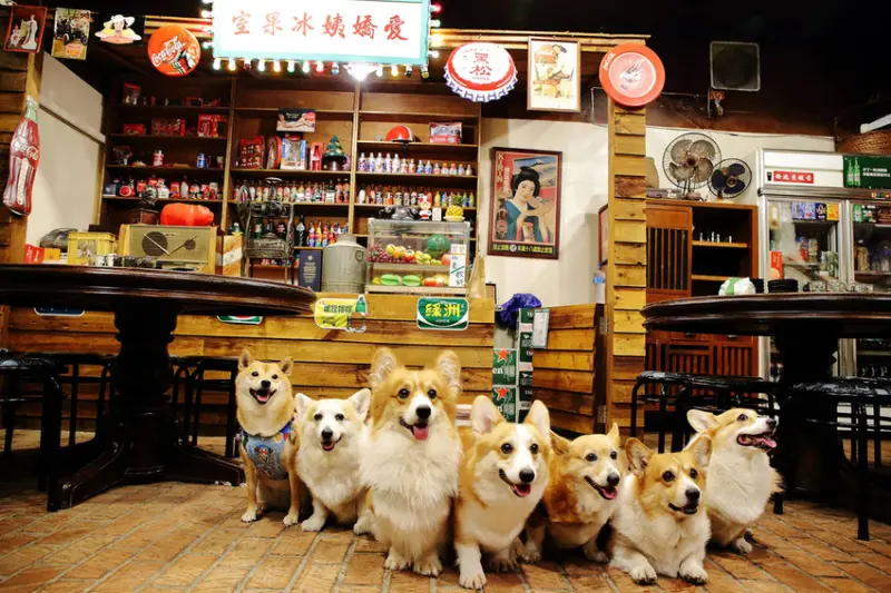 【食。台北】土角厝懷舊小吃店〜三合院古厝餐廳，古色古香吃辦桌，桶仔雞與小吃熱炒一次擁有，大快朵頤的深夜美食！