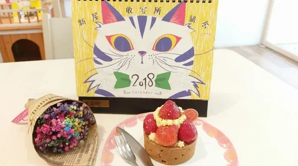 Glocke Bakery手做甜點工作室-N訪還是喜歡的甜點店  草莓季開跑  草莓塔/草莓千層再不來吃就遜掉了  貓貓收養計畫不斷線              