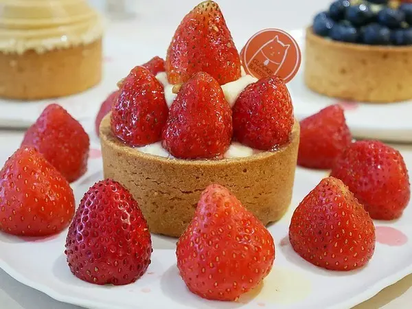 台中西區寵物友善甜點店，除了販售多款塔類甜品，同時也是貓咪中途，快來吃甜點順便吸貓-Glocke Bakery手做甜點工作室