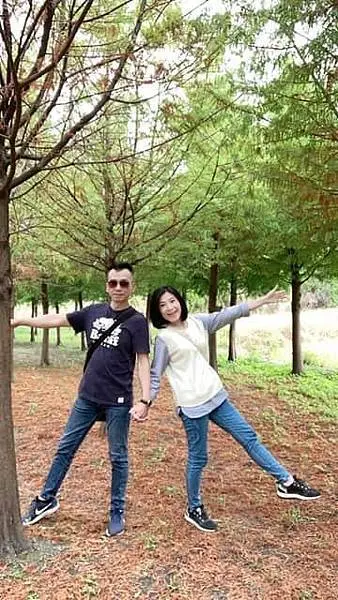 2020泰安落羽松新秘境