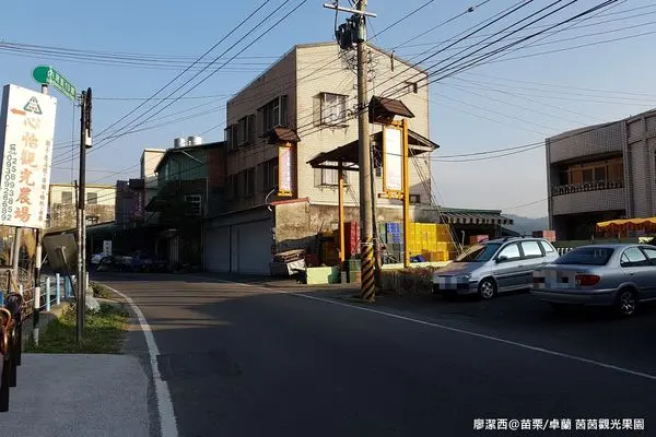 【苗栗/卓蘭】帶孩子到水果之鄉『卓蘭』採葡萄囉!-->茵茵觀光果園