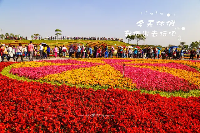 [ 台中⊙后里]2016台中花毯節。后里花田綠廊佔地廣闊。就像來到超大花園