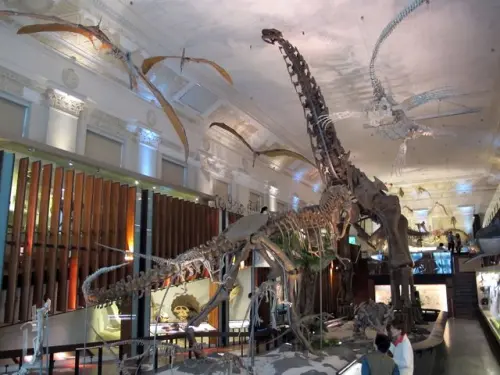 銅板展覽~臺灣、土銀博物館