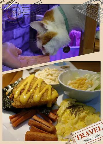 【高雄美食】小港區寵物餐廳 X 喵喵叫吐司catmyamya X 平價早午餐 X 手工現磨咖啡
