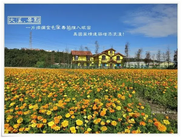 ╠桃園大溪。景點╣冬季景色