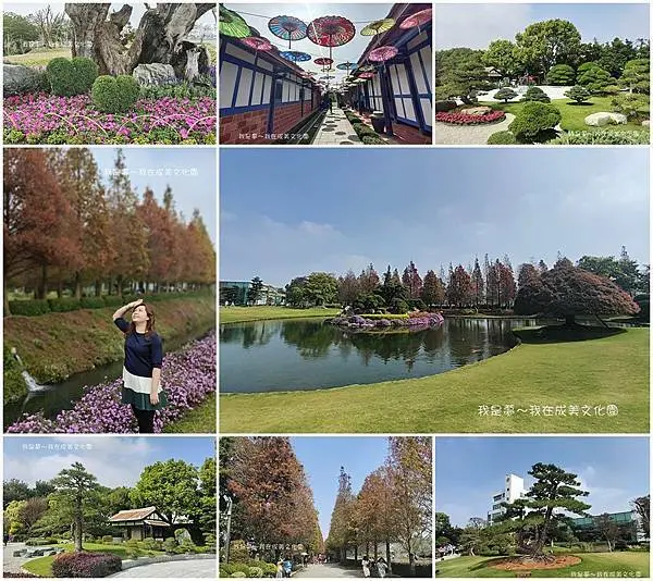 『彰化。成美文化園』～落羽松大道／日式庭院／台版兼六園