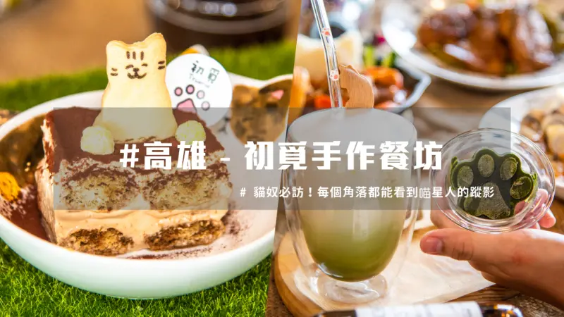 喵星人魅力無法擋！高雄前鎮超夯必訪貓咪主題餐廳！