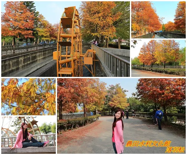 【雲林景點】農田水利文物陳列館~走在絕美的落羽松步道上/感覺這裡有點像在國外的異地風情/台灣落羽松真的好美