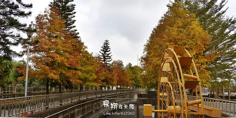 [雲林秘境] 林內農田水利文物陳列館:空拍直擊雲林落羽松秘境：超浪漫落羽松林+大大金色水車(飛翔在天際),就像變魔術的森林。
