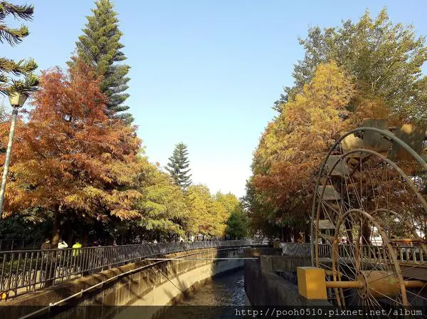 《雲林景點》落雨松 | 農田水利文物陳列館 | 彷彿置身國外美景 | 季節限定 ｜免門票