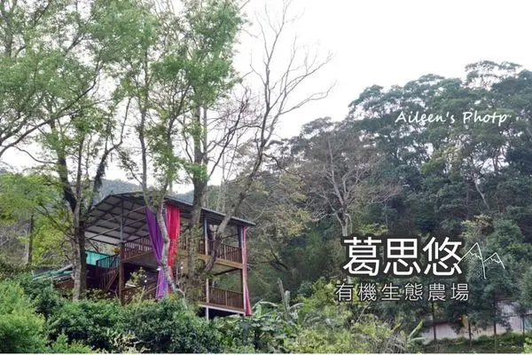 [新北] 葛思悠有機生態農場（DIY香蕉糯米飯/生態導覽/手作萬壽菊果醬）超好玩