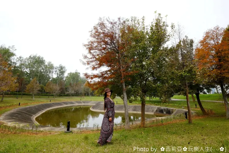 【苗栗。竹南鎮】誠摯推薦~讓我們走一趟『國家衛生研究院』，漫步在落羽松、楓葉步道，欣賞那落羽松針葉轉紅，彼此交錯形成一幅美麗小秘境。