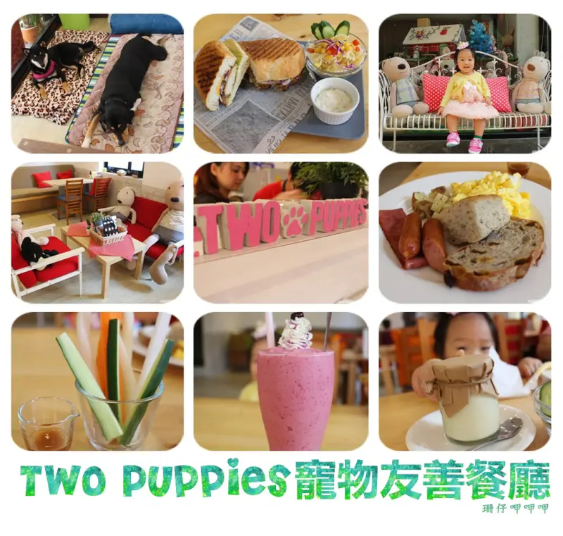 Two Puppies寵物友善餐廳★溫馴米克斯×可愛溫馨×有家的感覺~105.12.18