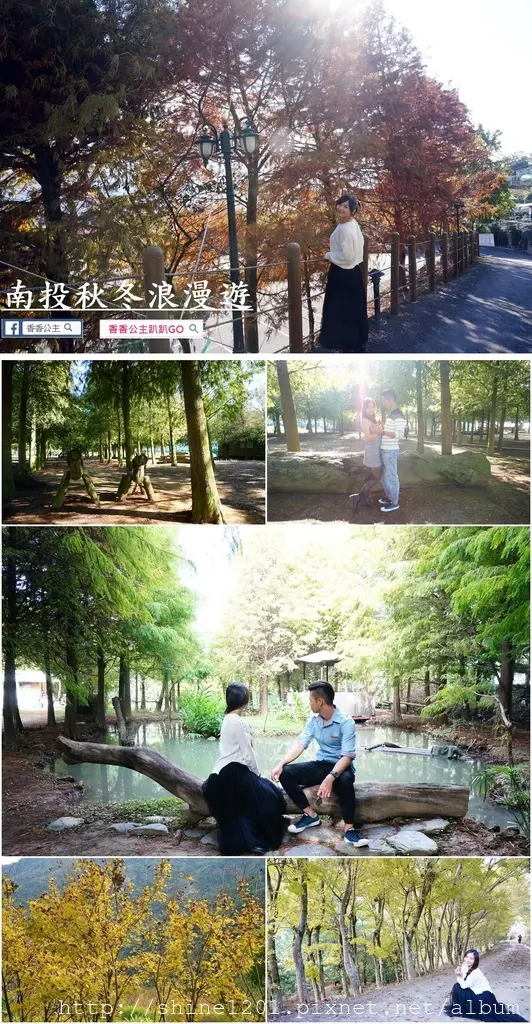 【秋冬浪漫遊南投】四個落雨松森林景點 VS 黃金楓賞楓景點一次看.南投景點推薦