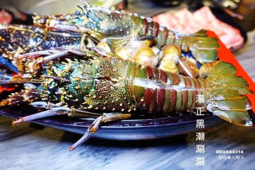 新莊火鍋 ▶ 湯正黑潮涮涮 ▶ 整整三隻龍蝦的隱藏版菜單: 藍龍蝦、小龍蝦、自然牛雪花、噶瑪蘭豚肉