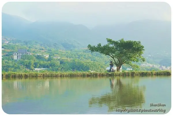 淡水「小八煙」/「水中央」。超仙夢幻景點！夕陽倒影太美麗！2017年爆紅打卡熱點！