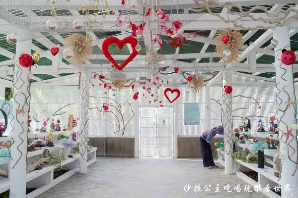 2018士林官邸玫瑰花展/台北免費展覽【夢幻 玫瑰 花世界】捷運士林站/士林旅遊景點