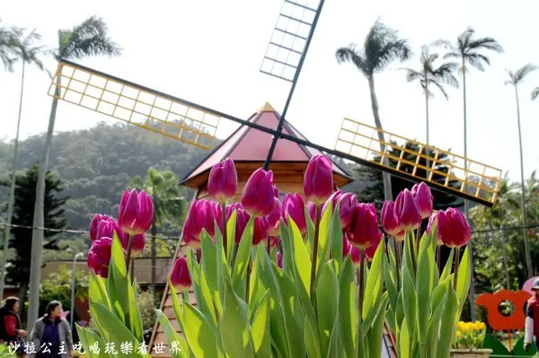 2018士林官邸【鬱金香展】遇見荷蘭/士林景點/捷運士林站