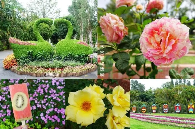 台北一日遊免費景點 ▶ 2019士林官邸玫瑰展 ▶ 戀戀玫瑰 多達125品種玫瑰花隨你拍 2019士林官邸玫瑰展時間、交通、最新花況!