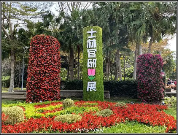 捷運士林站．2020士林官邸鬱金香展~鬱見你真好