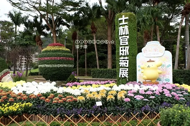 2020士林官邸菊展｜藝菊童遊，日期：2020/11/27～12/13止｜2019士林官邸菊展｜樂在菊中｜臺北士林官邸～