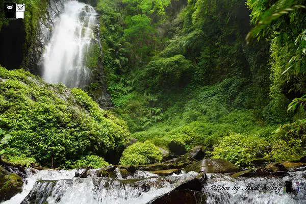 【南投。埔里】彩蝶瀑布。蝴蝶生態谷。南投埔里私房景點