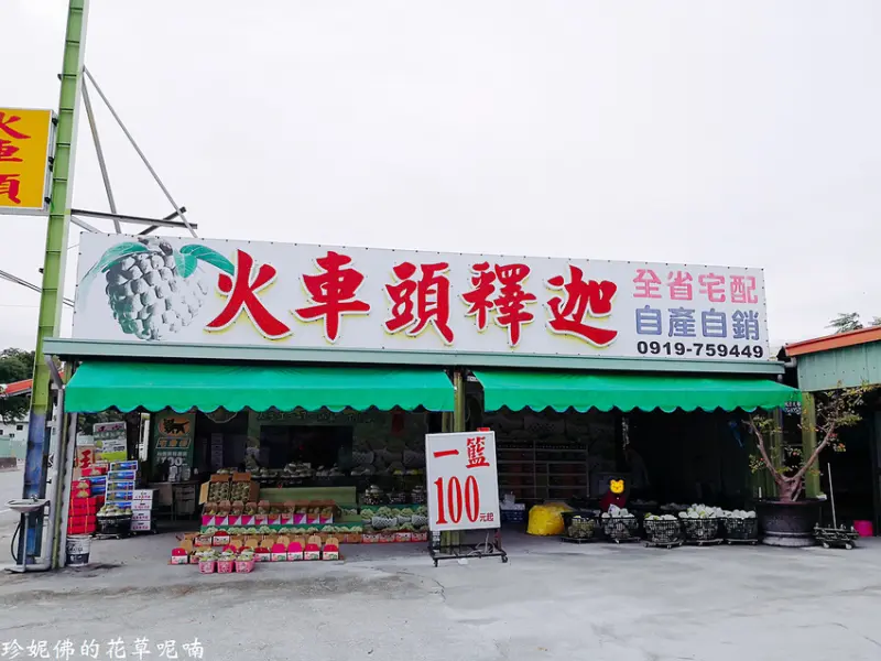 【台東市】火車頭釋迦