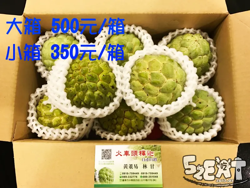 【台東人氣釋迦伴手禮推薦】火車頭釋迦價位，菜單大公開！超夯年節水果伴手禮盒！台東市美食小吃旅遊景點推薦！