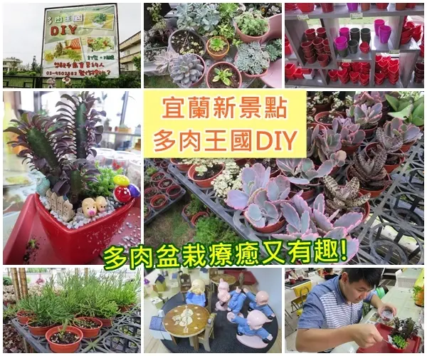 *宜蘭新景點*多肉王國DIY，多肉盆栽親手DIY，盆栽裝飾物任你挑，療癒又有趣!