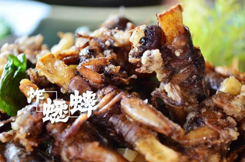 白河美食_古早厝山產快炒│關仔嶺美食推薦，愛伊特首次克服心理障礙嘗試吃蟋蟀！ - 愛伊特candy的分享樂園