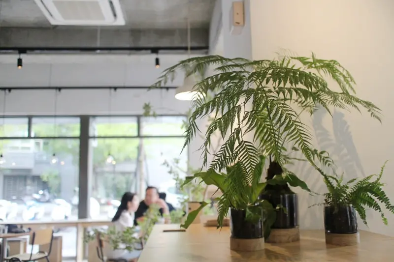 台北／內湖 Fika Fika Cafe二店 揮別北歐咖啡的旗幟，回歸台灣本土咖啡的無限可能