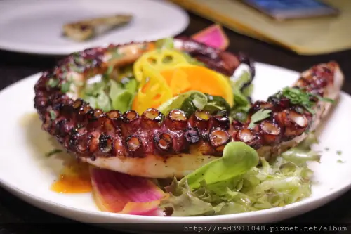 新莊美食~新莊遇見來自南灣熱情的"迷路小章魚餐酒館",今晚讓我們穿著拖鞋喝著沙瓦沉浸在美食之中~